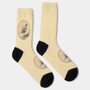 Gambrel's Quail Painting  - Original Wild Bird Art Socks