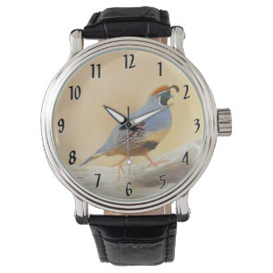 Gambrel's Quail Painting  - Original Wild Bird Art Watch