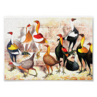 "Game Bantams" Vintage Illustration