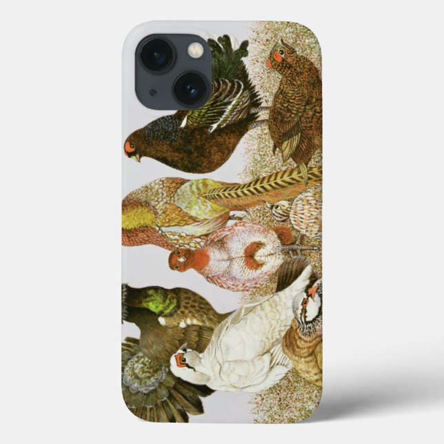 Game Birds Case-Mate iPhone Case (Back)
