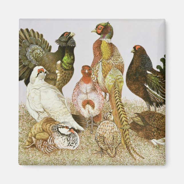 Game Birds Magnet (Front)