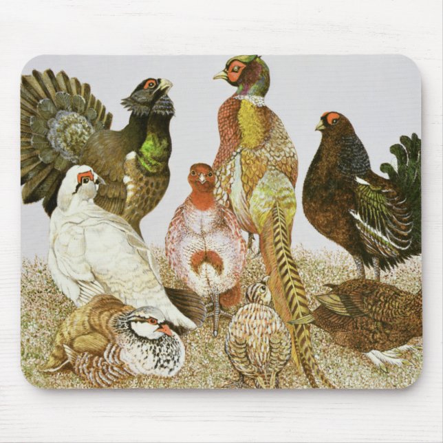 Game Birds Mouse Pad (Front)