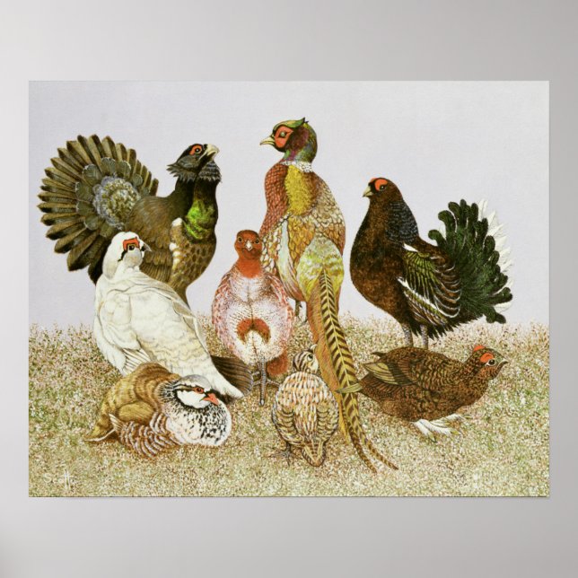 Game Birds Poster (Front)