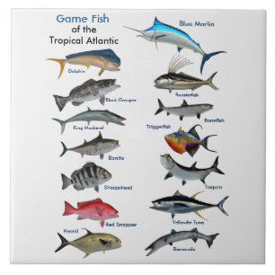 Game Fish of the Tropical Atlantic poster Tile