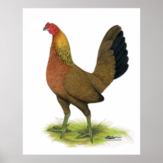 Game Hen:  Pea-combed Poster (Front)