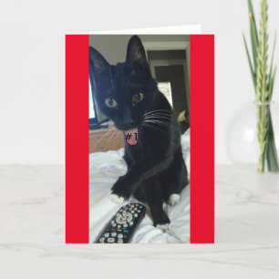 game invitation remote cat funny