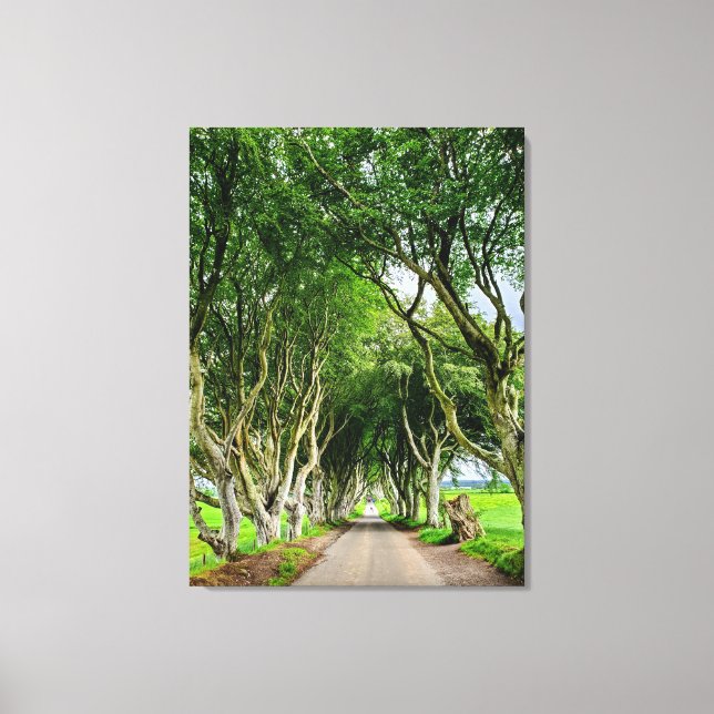 Game of Thrones wall art (Front)