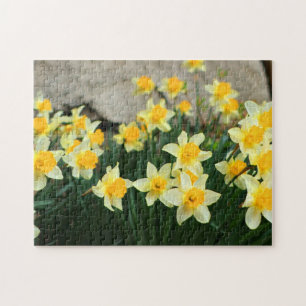 Game Puzzle-Daffodils Jigsaw Puzzle