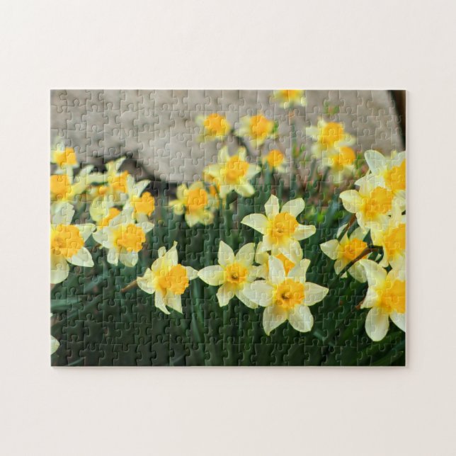 Game Puzzle-Daffodils Jigsaw Puzzle (Horizontal)