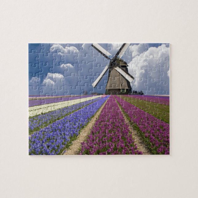Game Puzzle-Field of Hyacinths Jigsaw Puzzle (Horizontal)