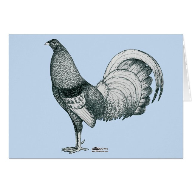 Gamecock Crele ou Dom (Devant Horizontal)