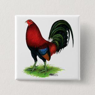 Gamecock: Dark Red 2 Inch Square Button