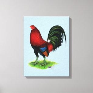 Gamecock:  Dark Red Canvas Print