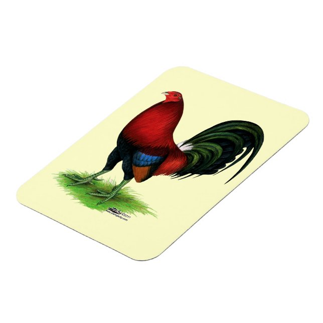 Gamecock:  Dark Red Magnet (Left Side)
