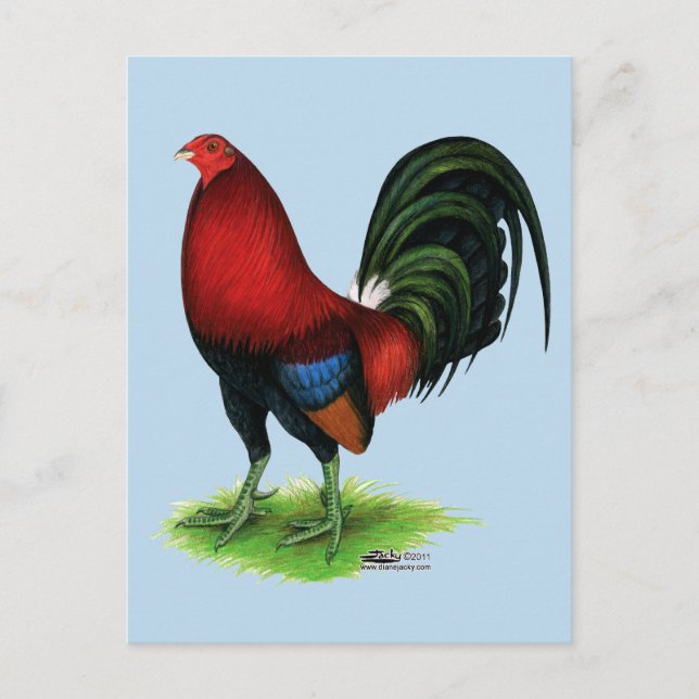 Gamecock:  Dark Red Postcard (Front)