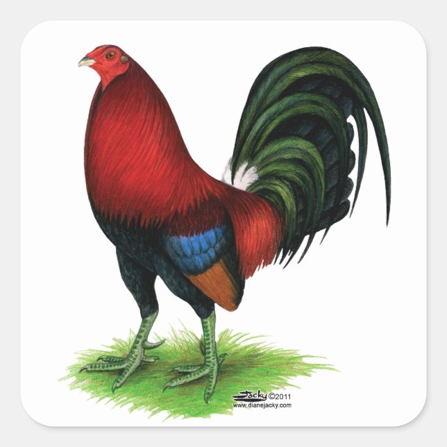 Gamecock:  Dark Red Square Sticker (Front)