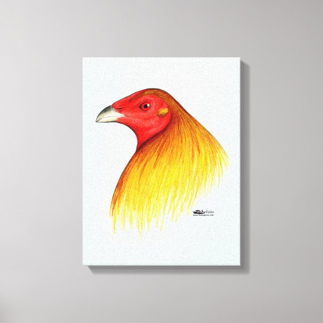 Gamecock Dubbed Canvas Print (Front)