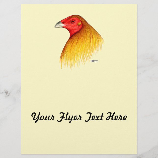 Gamecock Dubbed Flyer (Front)