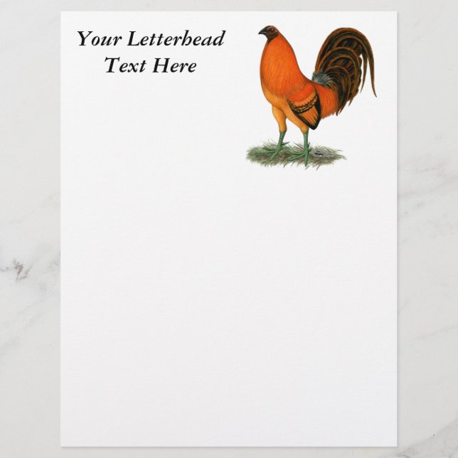 Gamecock Ginger Red Rooster (Front)