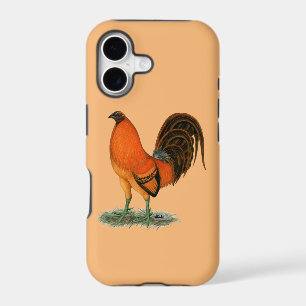 Gamecock Ginger Red Rooster