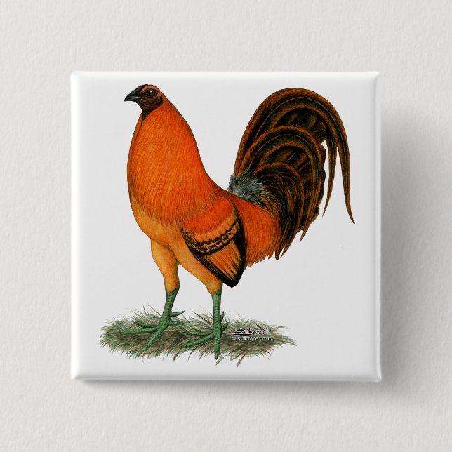 Gamecock Ginger Red Rooster 2 Inch Square Button (Front)