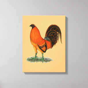 Gamecock Ginger Red Rooster Canvas Print