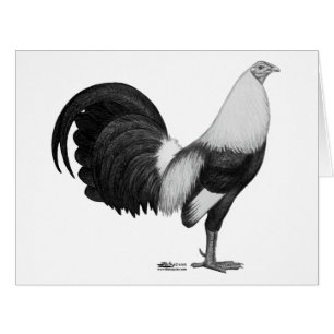Gamecock Grey Duckwing