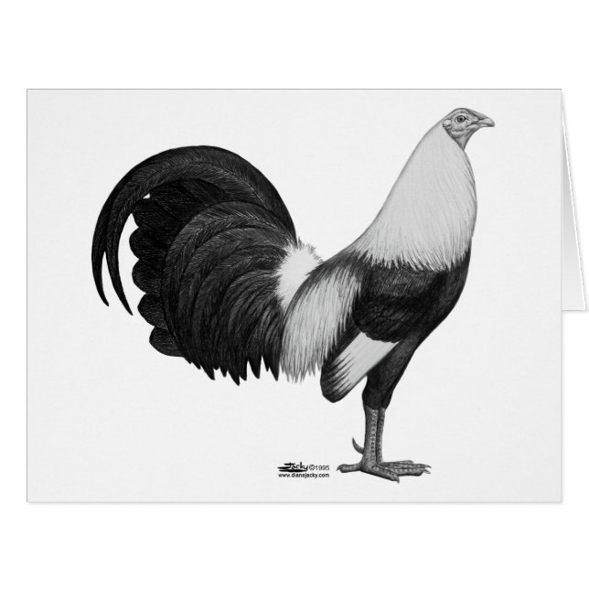 Gamecock Grey Duckwing (Front Horizontal)