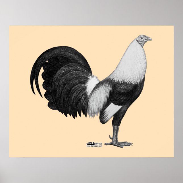 Gamecock Grey Duckwing Poster (Front)