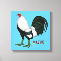 Gamecock Macho Duckwing
