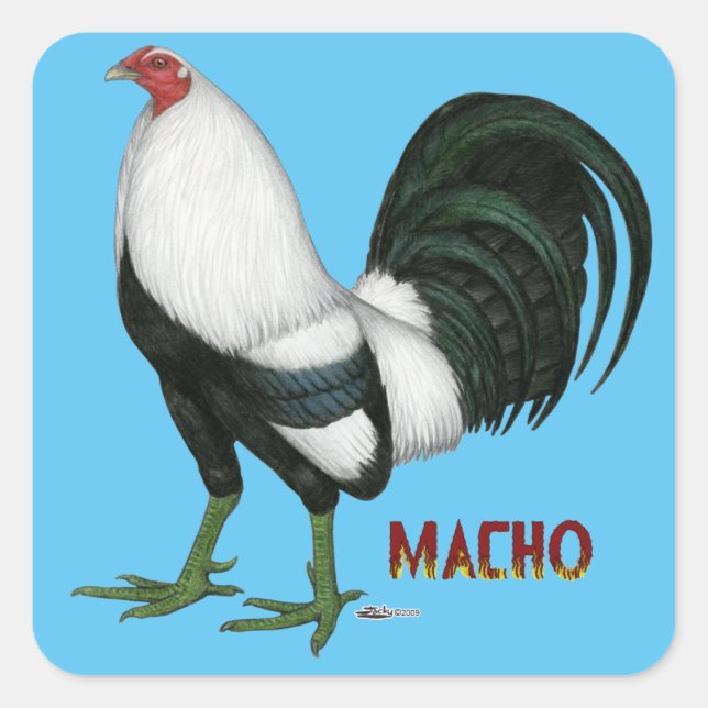 Gamecock Macho Duckwing Square Sticker (Front)