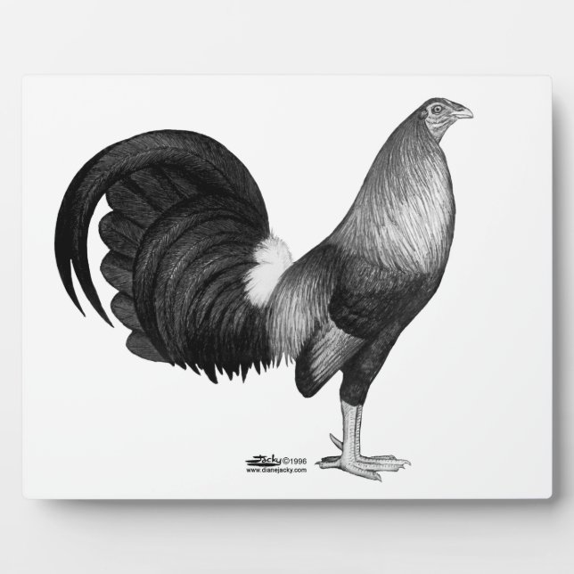 Gamecock Red Hatch Plaque (Front)