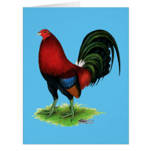 Gamecock : Rouge foncé