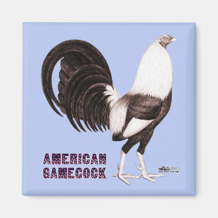 Gamecock Sepia Magnet