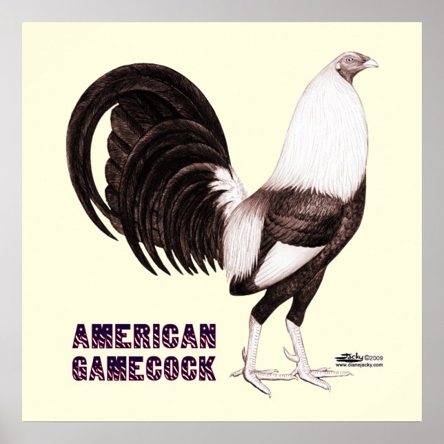 Gamecock Sepia Poster (Front)