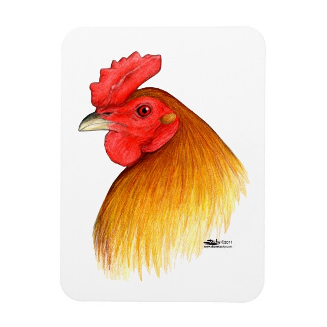 Gamecock Stag Pea Comb Magnet (Vertical)
