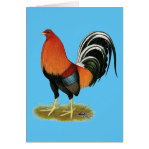 Gamecock Wheaten Rooster
