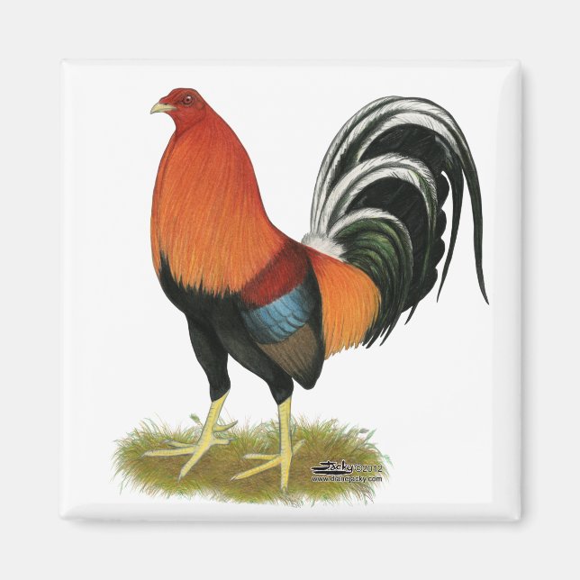 Gamecock Wheaten Rooster Magnet (Front)