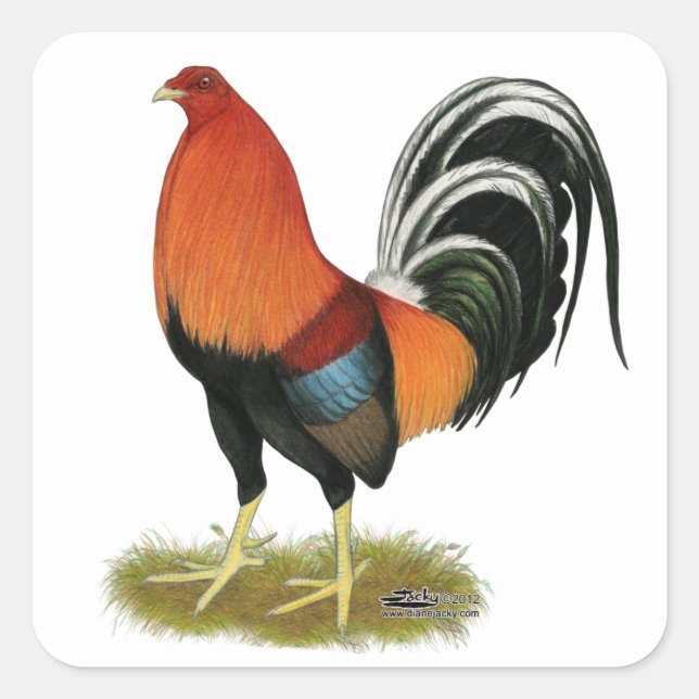 Gamecock Wheaten Rooster Square Sticker (Front)