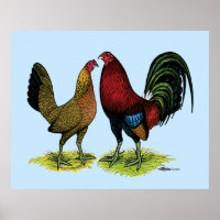 Gamefowl Pair