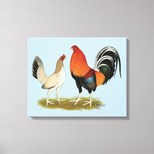 Gamefowl Wheatens Canvas Print (Front)