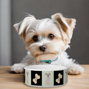 Gamelle pour chien Morkie avec os