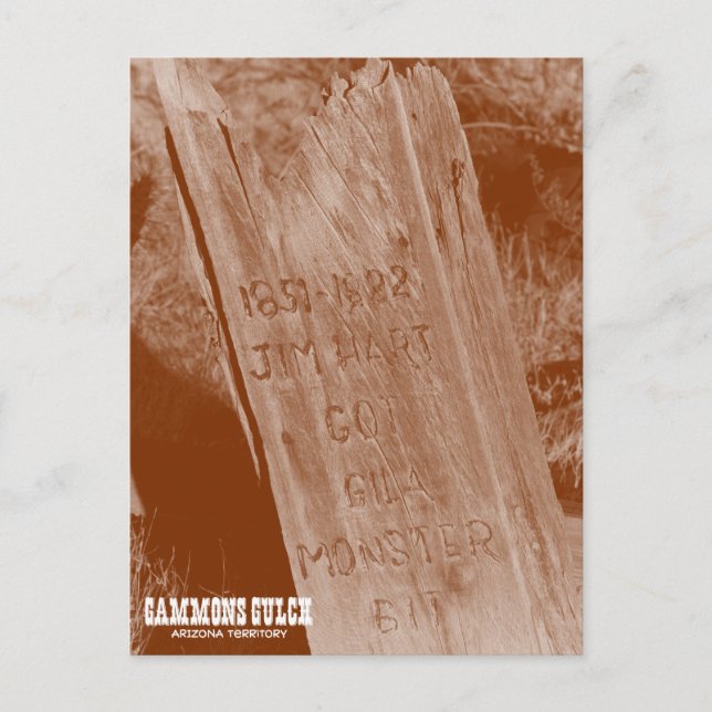 Gammons Gulch Souvenir Postcard (Front)