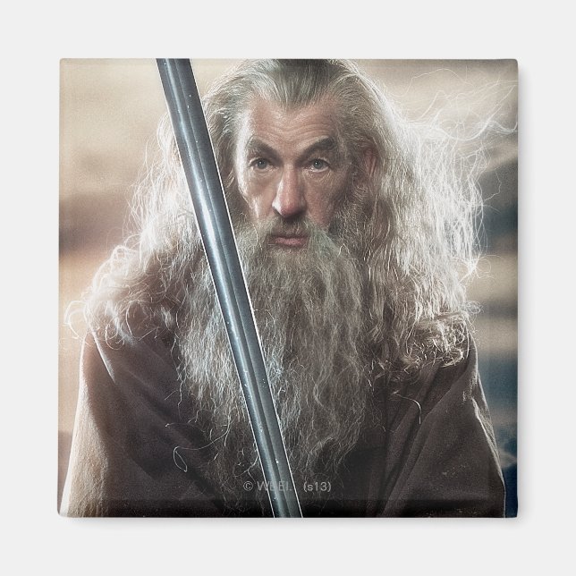 Gandalf Character Poster 2 Magnet (Front)