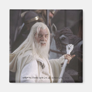 GANDALF™ Holds Staff Magnet