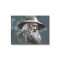 Gandalf Illustration