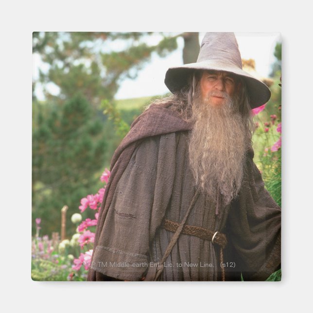 GANDALF™ with Hat Magnet (Front)