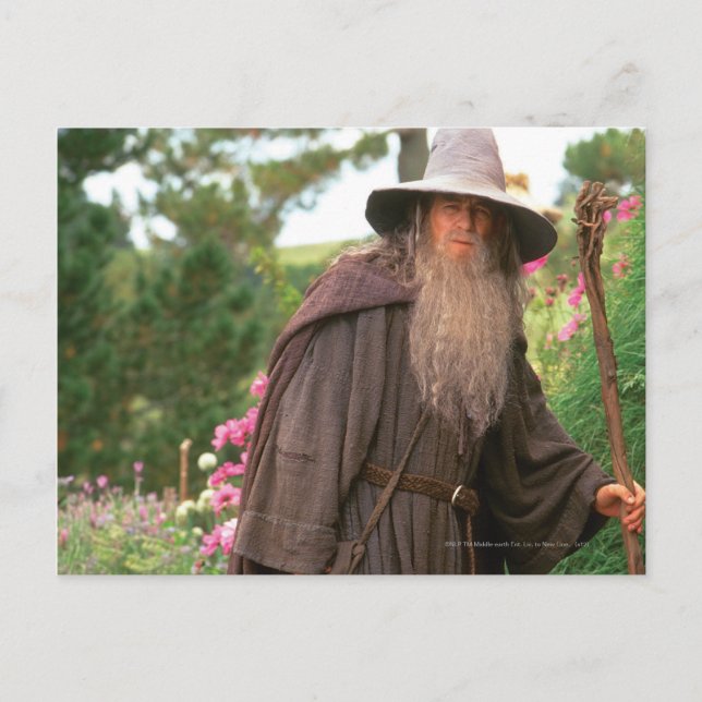 GANDALF™ with Hat Postcard (Front)