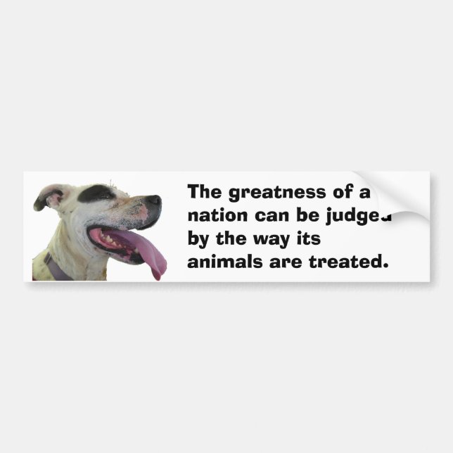 Gandhi Animal Quote Dog Bumper Sticker (Front)
