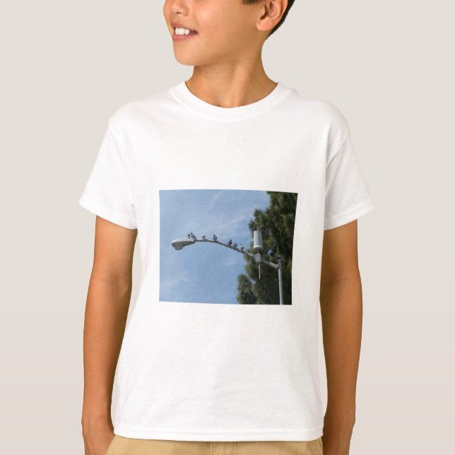 Gang Of Eight Pigeons Sitting On The Lamp Post Nea T-Shirt (Front)